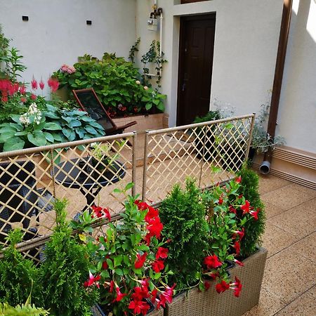 Cozy Green House Букурещ Екстериор снимка