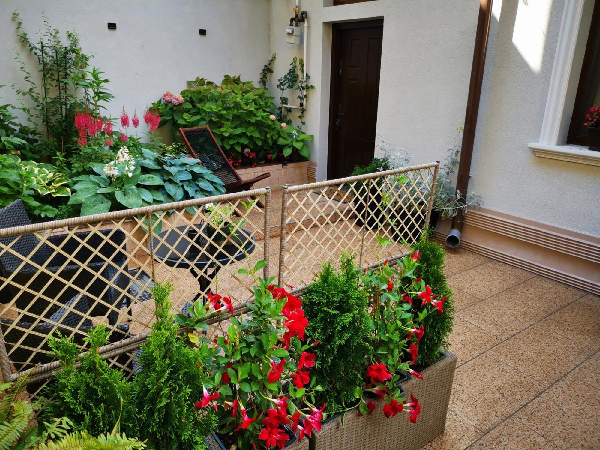 Cozy Green House Букурещ Екстериор снимка